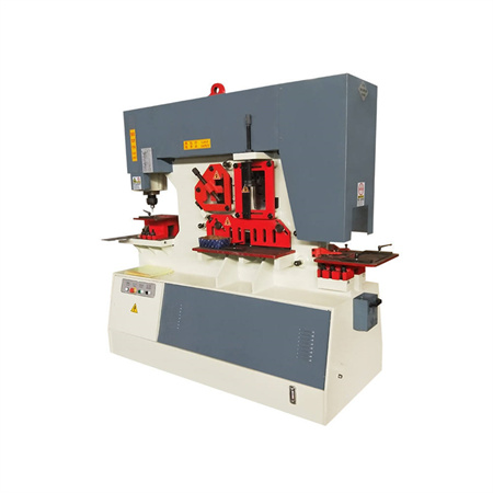 Q35Y-25 hüdrauliline rauatööline / rauatööline masin (stantsimis- ja lõikamismasin)